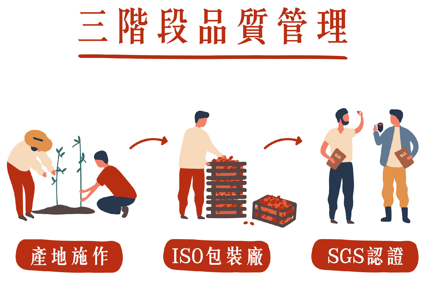 紅棗landing page_寬800_v1-47